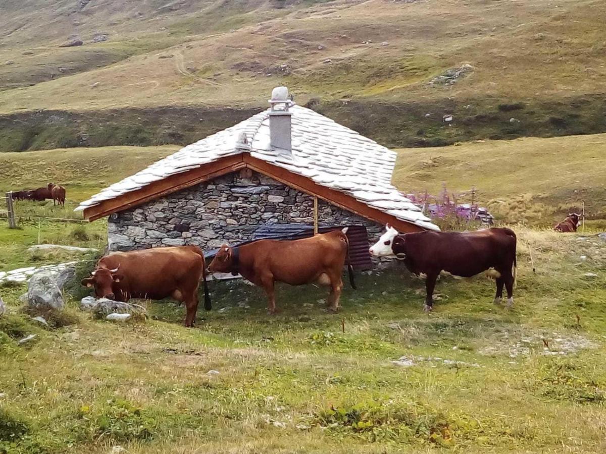 Les Balcons Proche Parc National Vanoise Appartements 2 Pieces 6 Pers Montagne Superieur 特米哥农 外观 照片