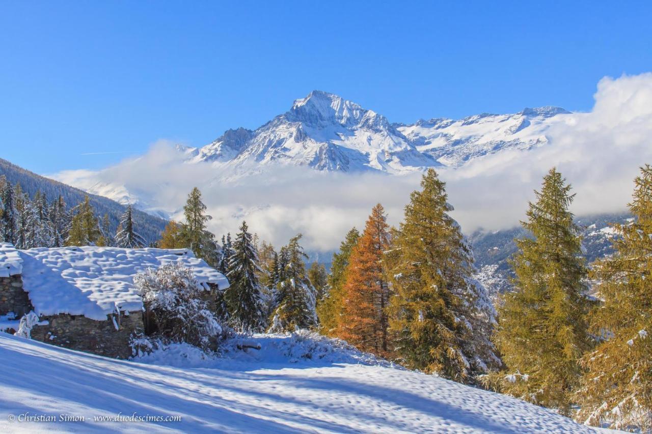 Les Balcons Proche Parc National Vanoise Appartements 2 Pieces 6 Pers Montagne Superieur 特米哥农 外观 照片